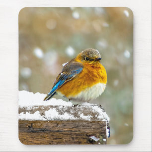 Eastern Bluebird in Snow - Original Photograph Mouse Mat