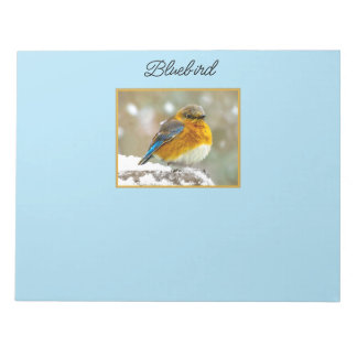 Eastern Bluebird in Snow - Original Photograph Notepad