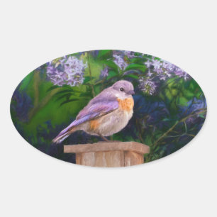 Eastern Bluebird in Snow - Original Photograph Oval Sticker