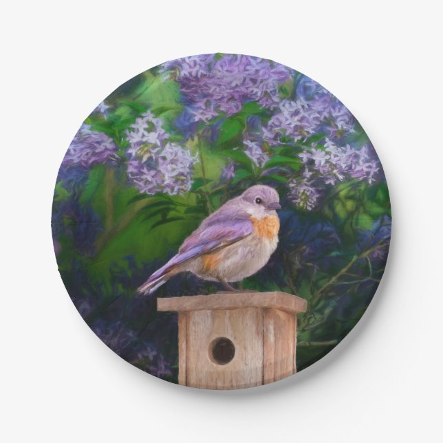 Eastern Bluebird in Snow - Original Photograph Paper Plate (Front)