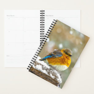 Eastern Bluebird in Snow - Original Photograph Planner