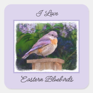 Eastern Bluebird in Snow - Original Photograph Square Sticker