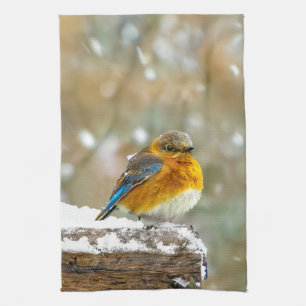 Eastern Bluebird in Snow - Original Photograph Tea Towel
