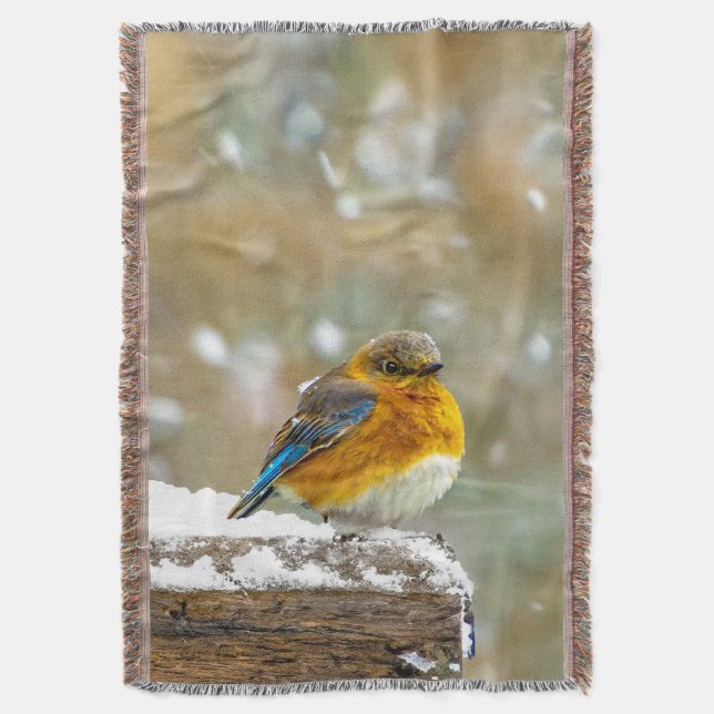 Eastern Bluebird in Snow - Original Photograph Throw Blanket (Front Vertical)