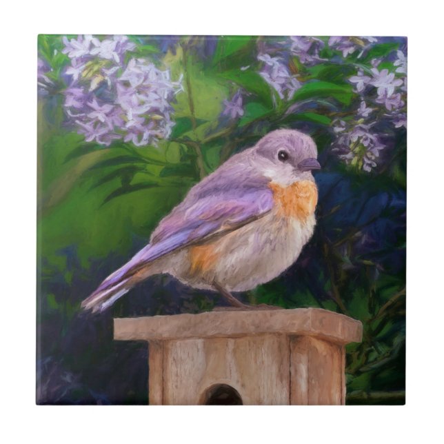 Eastern Bluebird in Snow - Original Photograph Tile (Front)
