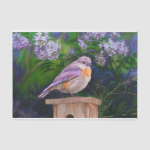 Eastern Bluebird in Snow - Original Photograph Tissue Paper