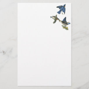 Eastern Bluebird, John Audubon Stationery
