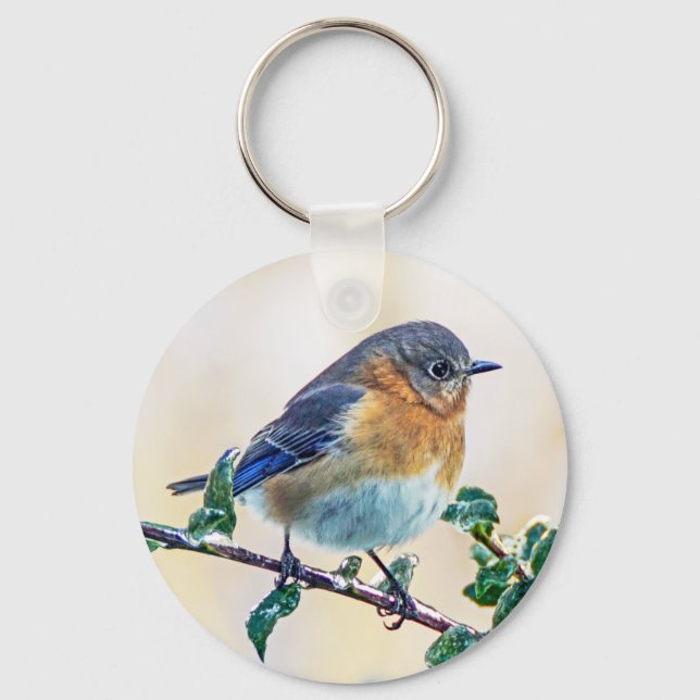 Eastern Bluebird Keychain (Front)