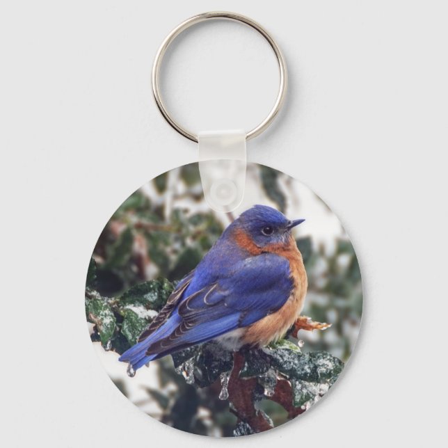 Eastern Bluebird Keychain (Front)