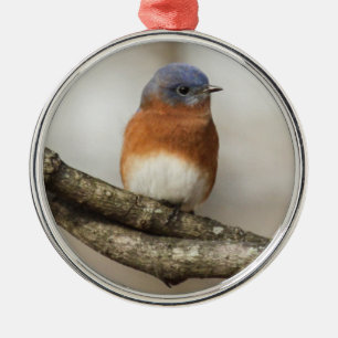 Eastern Bluebird Metal Tree Decoration