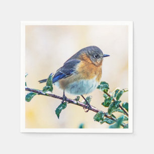 Eastern Bluebird on Ice Covered Limb Paper Napkin