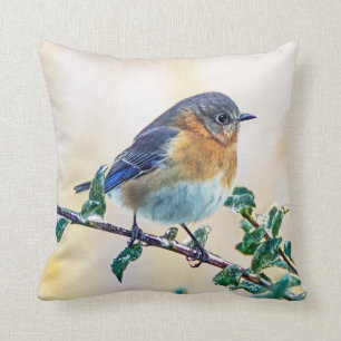 Eastern Bluebird on Ice Covered Limb Throw Pillow