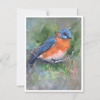 Eastern Bluebird Painting Note Card