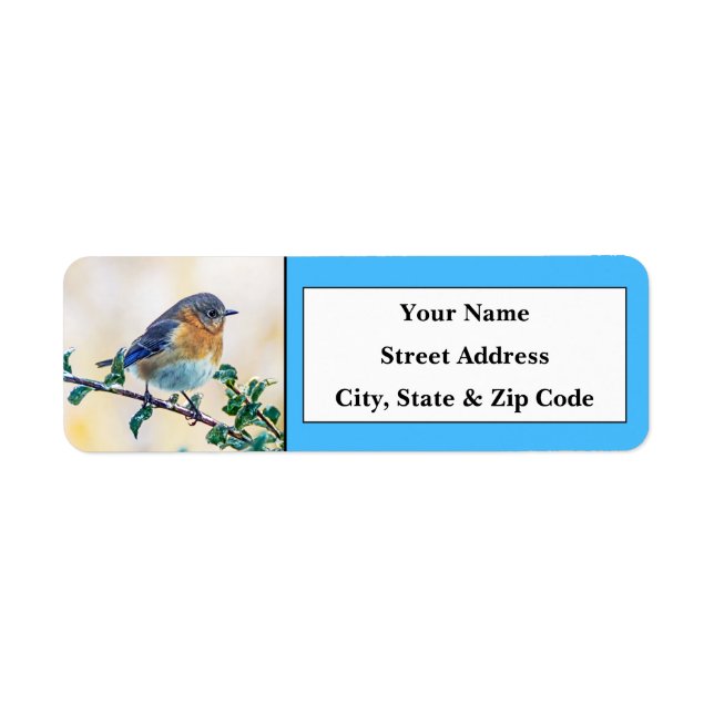 Eastern Bluebird Return Address Labels (Front)
