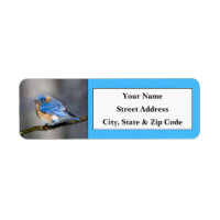 Eastern Bluebird Return Address Labels