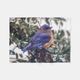 Eastern Bluebird Small Fleece Blanket