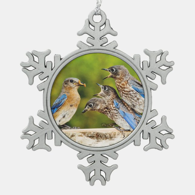 Eastern Bluebird Snowflake Pewter Christmas Ornament (Front)