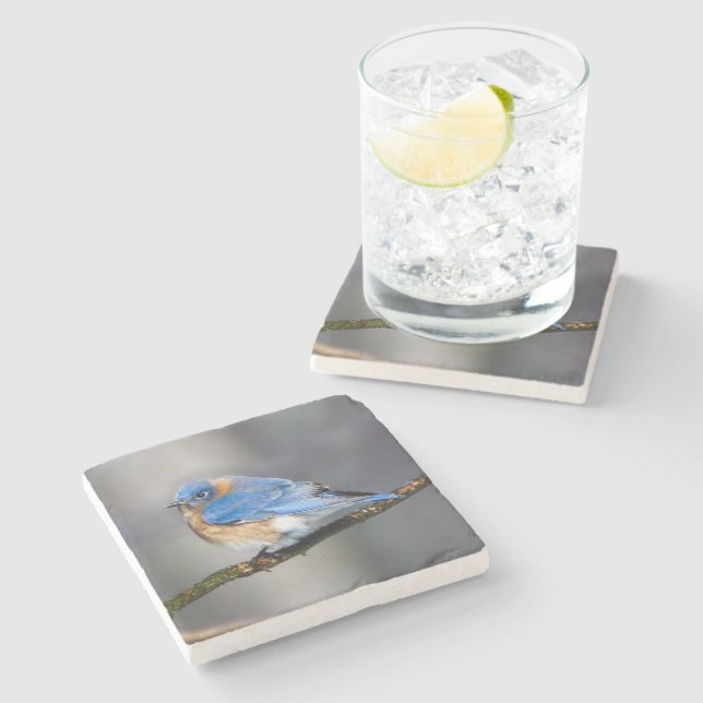 Eastern Bluebird Stone Coaster (Side)