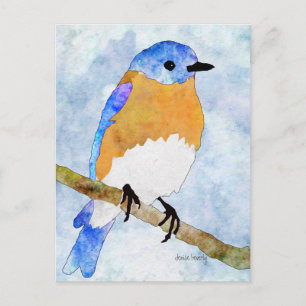 Eastern Bluebird watercolor style postcards