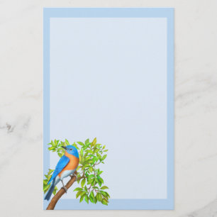Eastern Bluebird Wild Bird Stationery