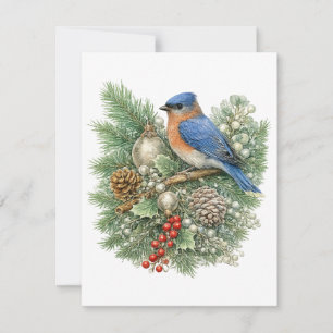 Eastern Bluebird Winter Songbirds Collection  Card