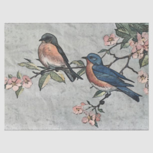 Eastern Bluebirds Decoupage Tissue Paper
