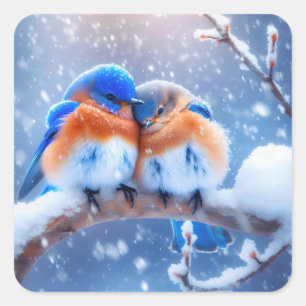 Eastern Bluebirds Snuggling On a Snowy Branch Square Sticker