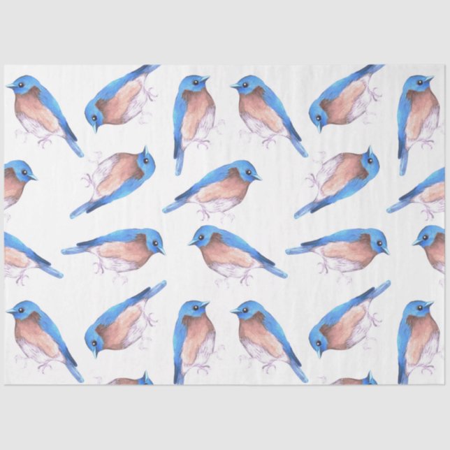 Eastern bluebirds watercolor cute birds tissue paper (Front)
