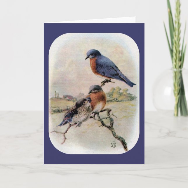 Eastern Bluebirds with Baby Bird Holiday Card (Front)