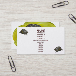 Eastern Box Turtle Business Card