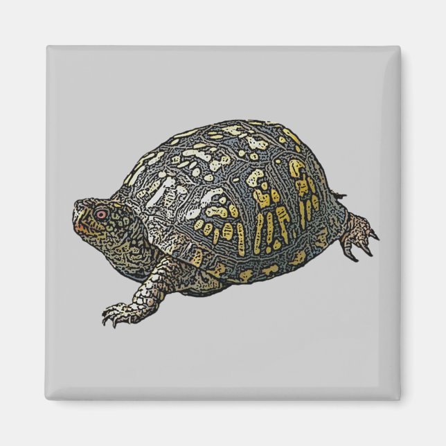 Eastern Box Turtle Coordinating Items Magnet (Front)