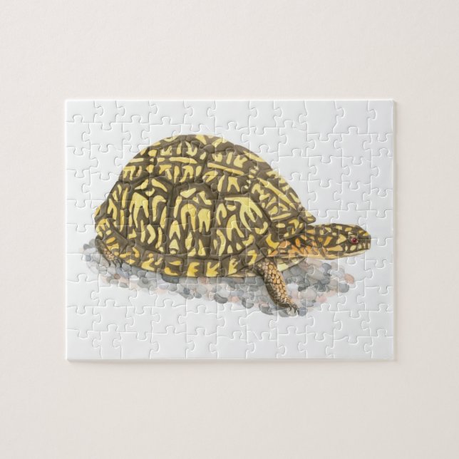 Eastern Box Turtle Jigsaw Puzzle (Horizontal)