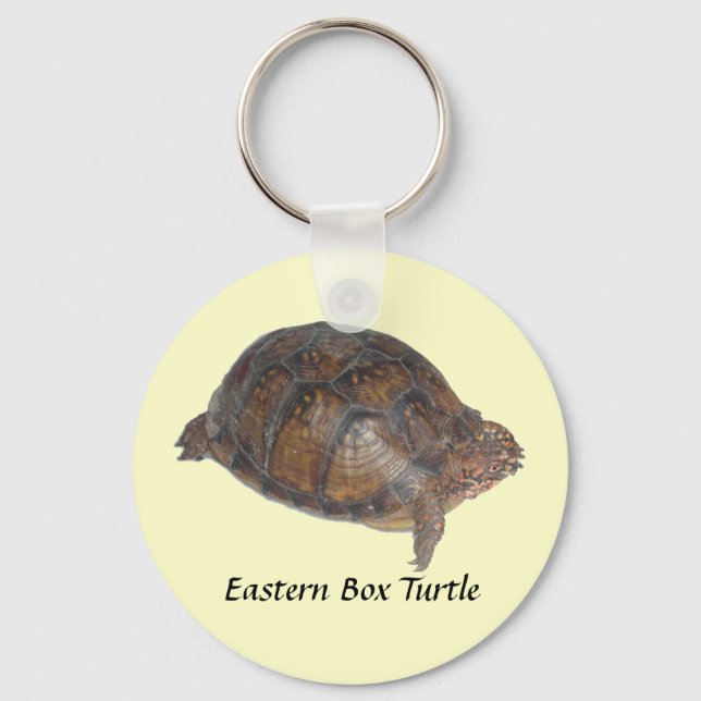 Eastern Box Turtle Key Ring (Front)