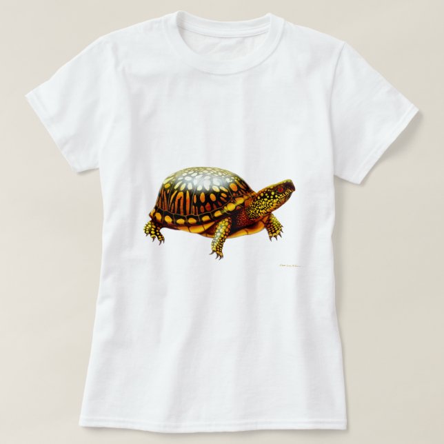 Eastern Box Turtle Ladies Babydoll Shirt (Design Front)