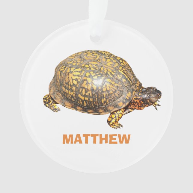 Eastern Box Turtle Photo Personalised Ornament (Front)