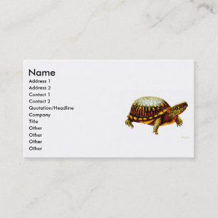 Eastern Box Turtle Profile Card