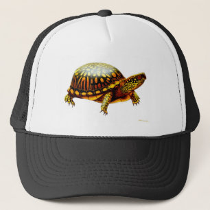 Eastern Box Turtle Trucker Hat