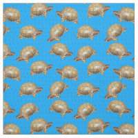 Eastern Box Turtles Bright Blue Patterned