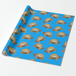 Eastern Box Turtles Bright Blue Patterned Wrapping Paper
