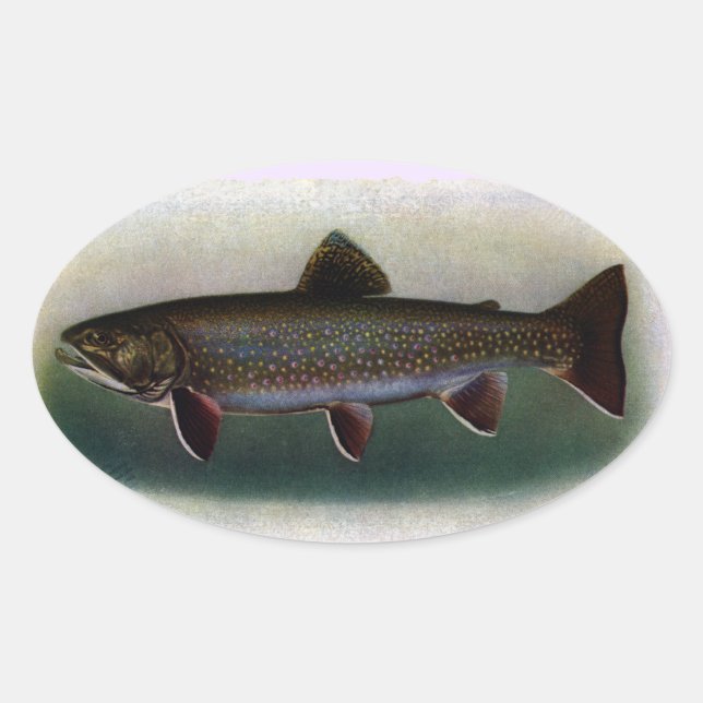 Eastern Brook Trout Painting Oval Sticker (Front)