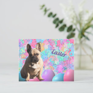 Eastern card French Bulldog postcard