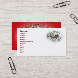Eastern Cardinal Songbird Business Card