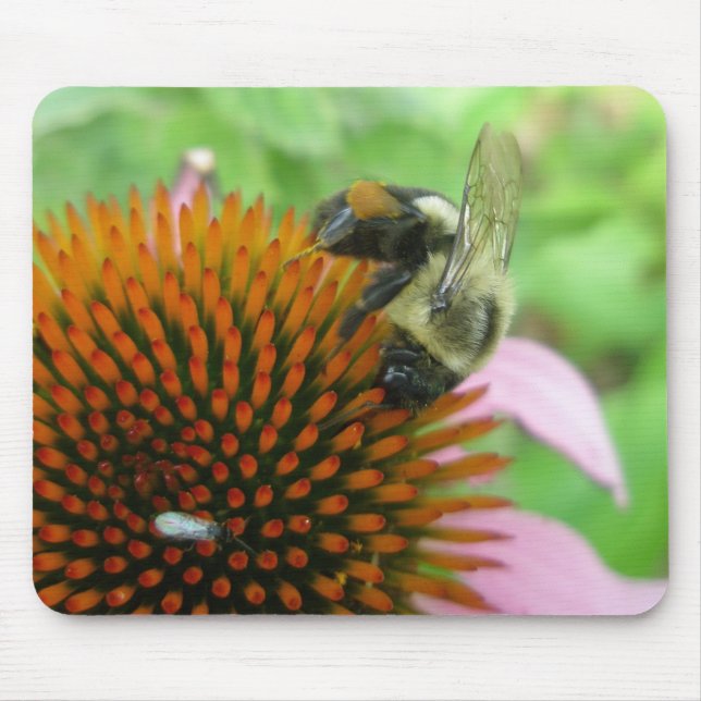 Eastern Carpenter Bee & Coneflower Series Mouse Mat (Front)