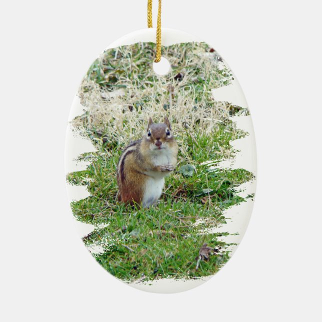 Eastern Chipmunk Ceramic Tree Decoration (Back)