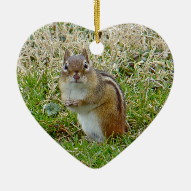 Eastern Chipmunk Ceramic Tree Decoration (Front)