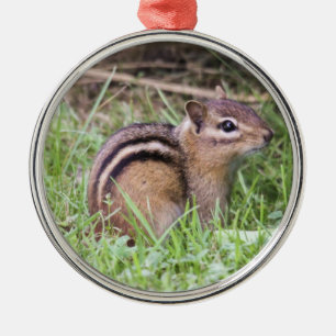 Eastern Chipmunk Metal Tree Decoration