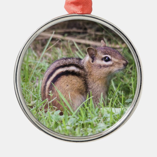 Eastern Chipmunk Metal Tree Decoration (Front)