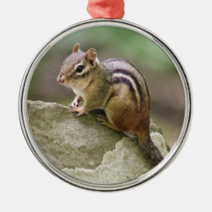 Eastern Chipmunk Metal Tree Decoration