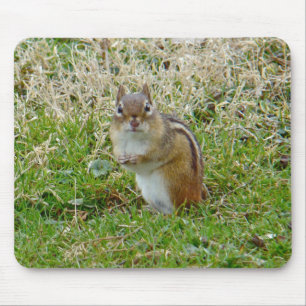 Eastern Chipmunk Mouse Mat
