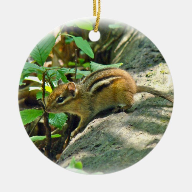 Eastern Chipmunk on Log Ceramic Tree Decoration (Front)